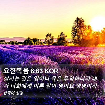 요한복음 6:63 KOR Bible Verse Image