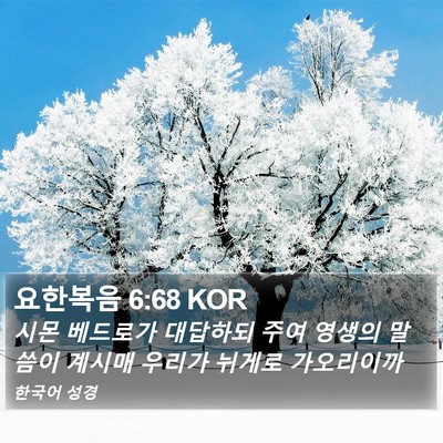 요한복음 6:68 KOR Bible Verse Image