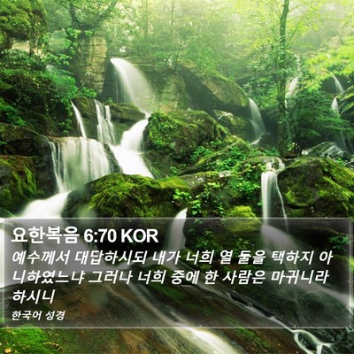 요한복음 6:70 KOR Bible Verse Image
