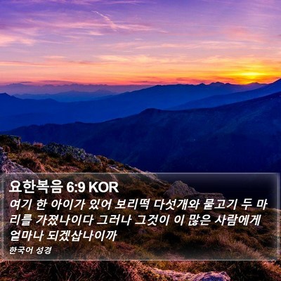 요한복음 6:9 KOR Bible Verse Image