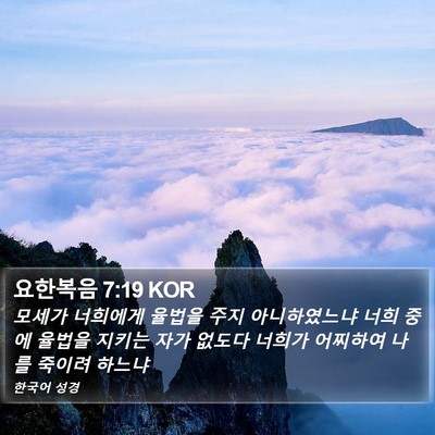 요한복음 7:19 KOR Bible Verse Image