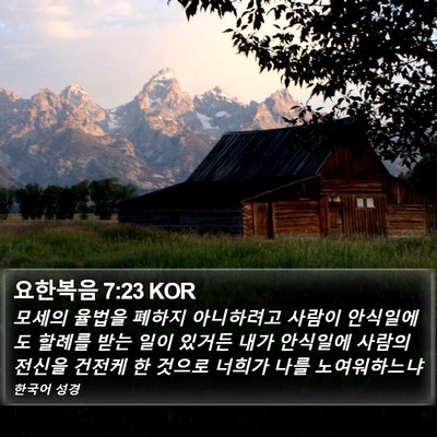 요한복음 7:23 KOR Bible Verse Image