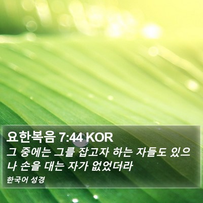 요한복음 7:44 KOR Bible Verse Image