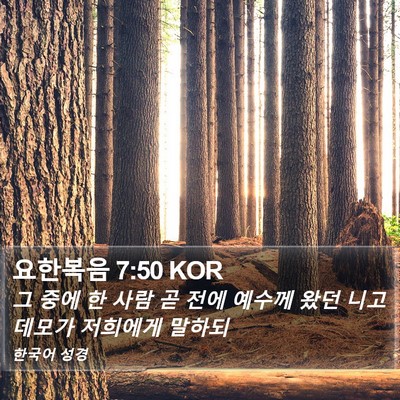 요한복음 7:50 KOR Bible Verse Image