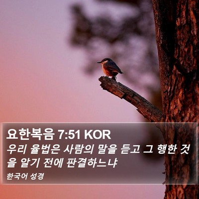 요한복음 7:51 KOR Bible Verse Image