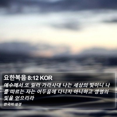 요한복음 8:12 KOR Bible Verse Image