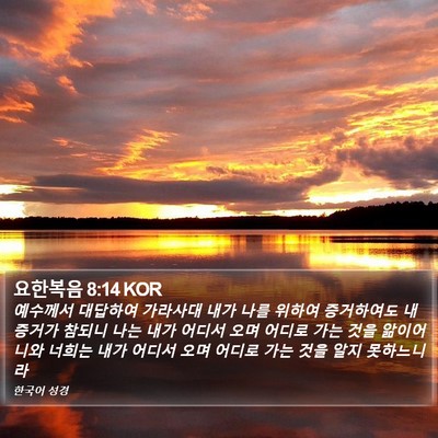 요한복음 8:14 KOR Bible Verse Image