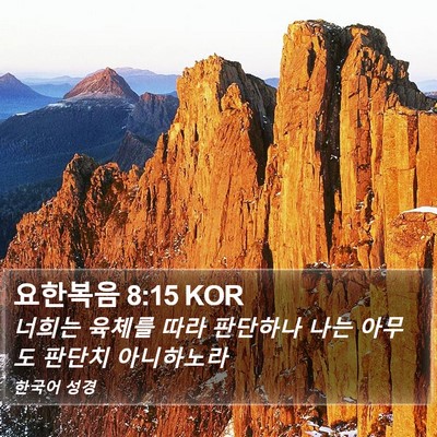 요한복음 8:15 KOR Bible Verse Image