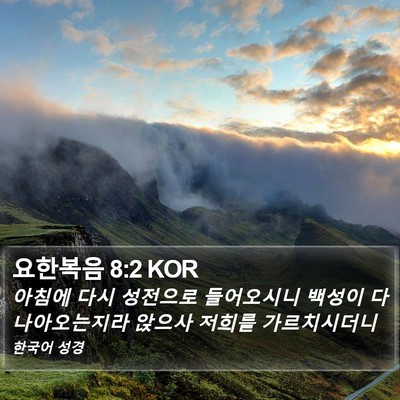 요한복음 8:2 KOR Bible Verse Image