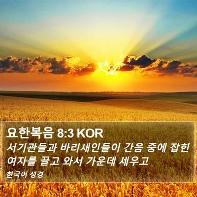 요한복음 8:3 KOR Bible Verse Image