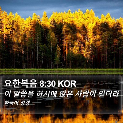 요한복음 8:30 KOR Bible Verse Image