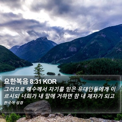 요한복음 8:31 KOR Bible Verse Image