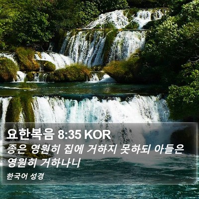 요한복음 8:35 KOR Bible Verse Image