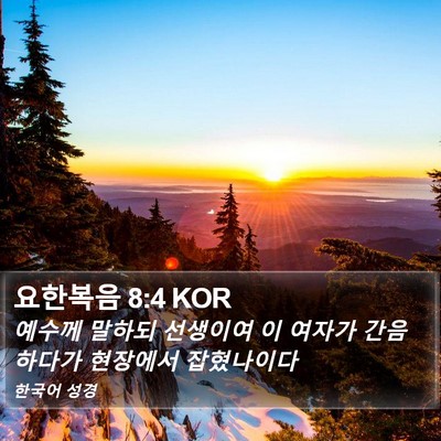 요한복음 8:4 KOR Bible Verse Image