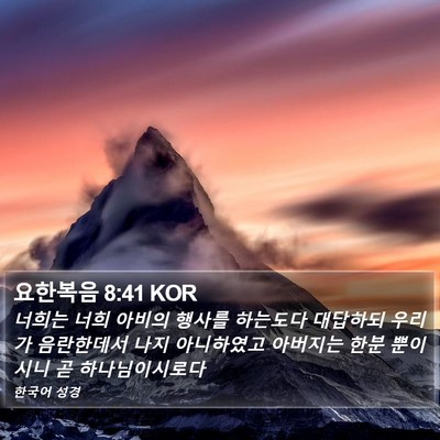 요한복음 8:41 KOR Bible Verse Image