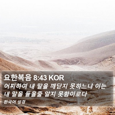 요한복음 8:43 KOR Bible Verse Image