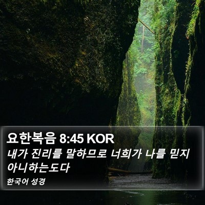 요한복음 8:45 KOR Bible Verse Image