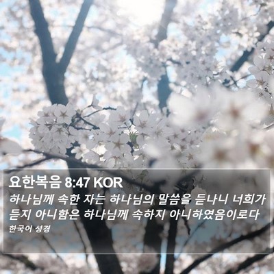 요한복음 8:47 KOR Bible Verse Image