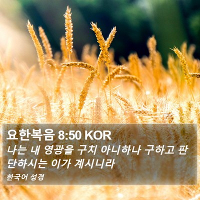 요한복음 8:50 KOR Bible Verse Image