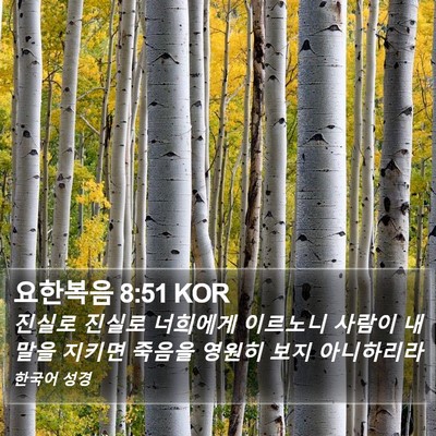요한복음 8:51 KOR Bible Verse Image