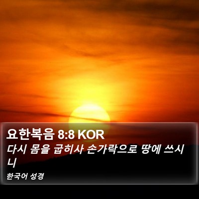 요한복음 8:8 KOR Bible Verse Image