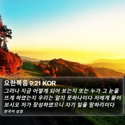 요한복음 9:21 KOR Bible Verse Image