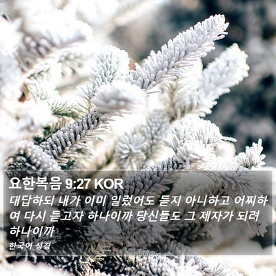 요한복음 9:27 KOR Bible Verse Image