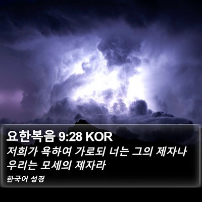 요한복음 9:28 KOR Bible Verse Image