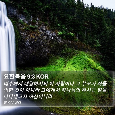 요한복음 9:3 KOR Bible Verse Image