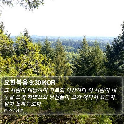 요한복음 9:30 KOR Bible Verse Image