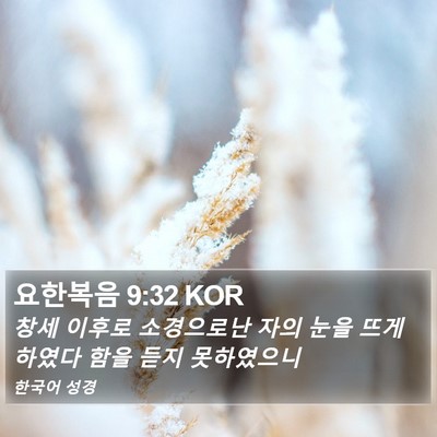 요한복음 9:32 KOR Bible Verse Image