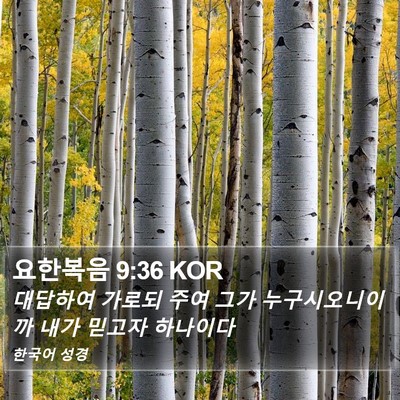 요한복음 9:36 KOR Bible Verse Image