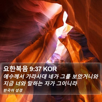 요한복음 9:37 KOR Bible Verse Image