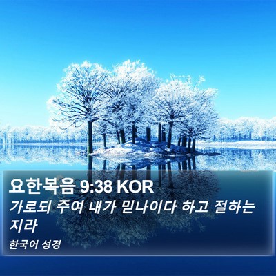 요한복음 9:38 KOR Bible Verse Image