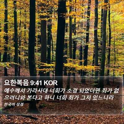 요한복음 9:41 KOR Bible Verse Image