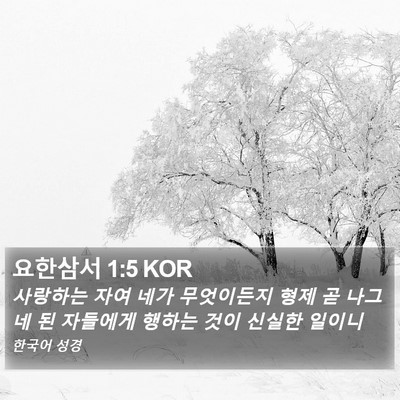 요한삼서 1:5 KOR Bible Verse Image