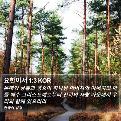 요한이서 1:3 KOR Bible Verse Image