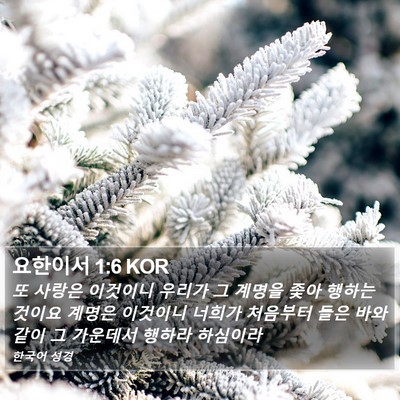 요한이서 1:6 KOR Bible Verse Image