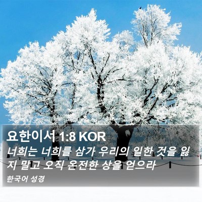 요한이서 1:8 KOR Bible Verse Image