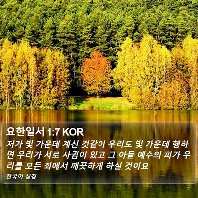 요한일서 1:7 KOR Bible Verse Image