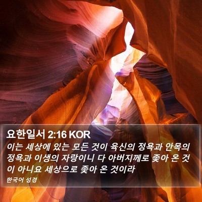 요한일서 2:16 KOR Bible Verse Image