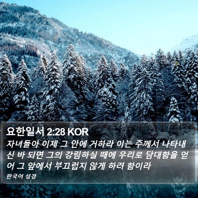 요한일서 2:28 KOR Bible Verse Image