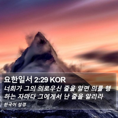 요한일서 2:29 KOR Bible Verse Image