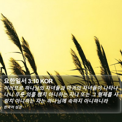 요한일서 3:10 KOR Bible Verse Image