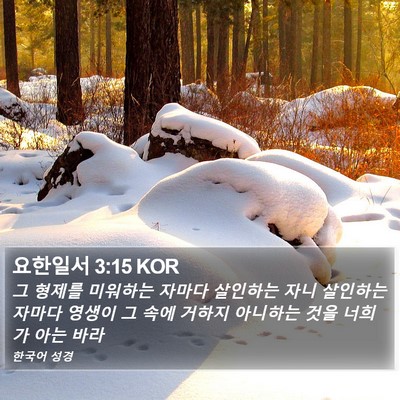 요한일서 3:15 KOR Bible Verse Image