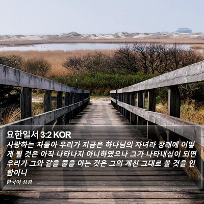 요한일서 3:2 KOR Bible Verse Image