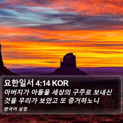 요한일서 4:14 KOR Bible Verse Image