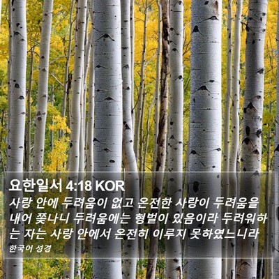 요한일서 4:18 KOR Bible Verse Image