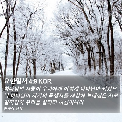 요한일서 4:9 KOR Bible Verse Image