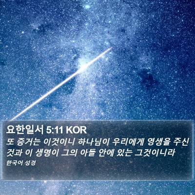요한일서 5:11 KOR Bible Verse Image